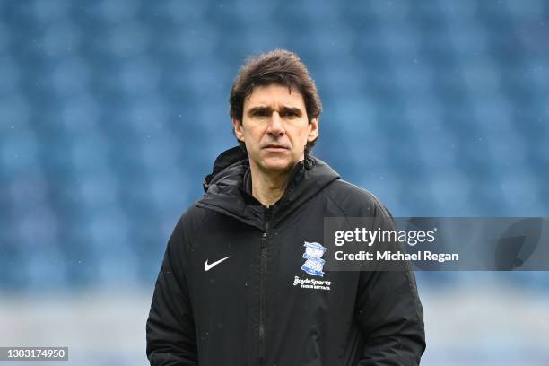 Aitor Karanka, Manager of Bimringham City looks on during the Sky Bet Championship match between Sheffield Wednesday and Birmingham City at...