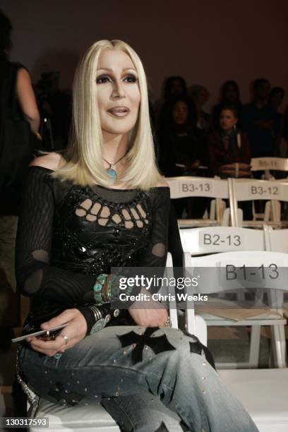 Cher look-alike during Mercedes-Benz Fall 2005 L.A. Fashion Week at Smashbox Studios - Grey Ant - Front Row and Backstage at Smashbox Studios in...