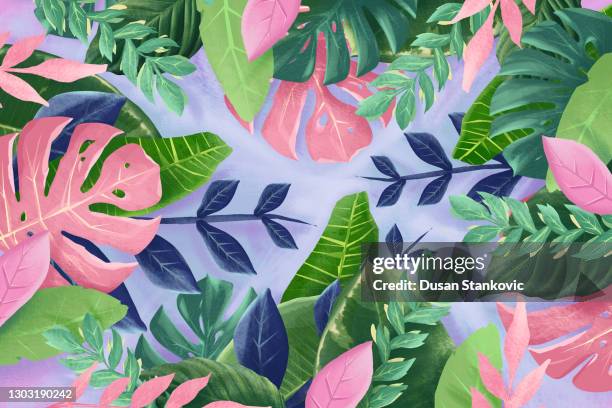 modern tropical floral background - monstera leaf stock illustrations