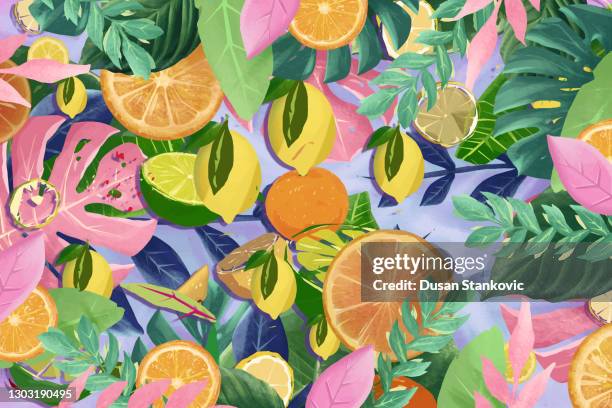 summer background of tropical fruits and leaves - tropical deciduous forest stock illustrations