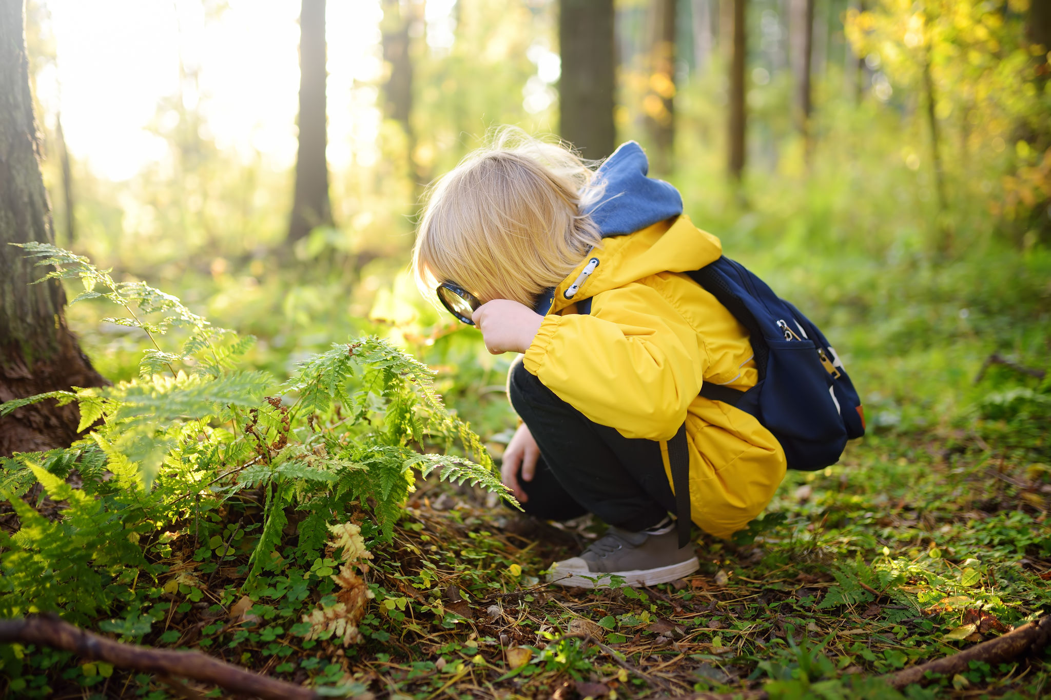 nature preschool