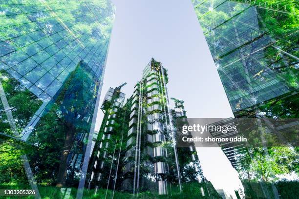 double exposure of trees and buildings - banker doppelbelichtung stock-fotos und bilder