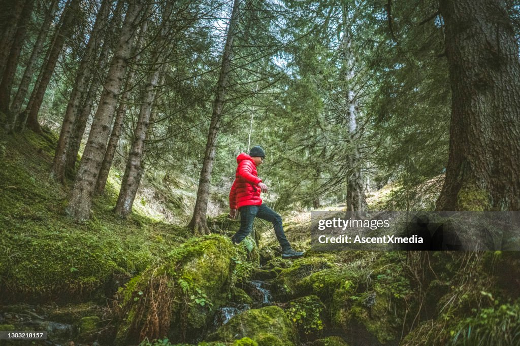 Joven cruza arroyo en exuberante suelo forestal