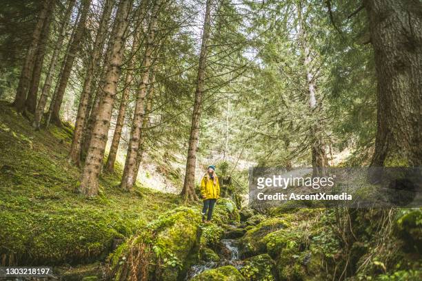 joven se detiene en exuberante suelo forestal junto a arroyo - forest floor fotografías e imágenes de stock