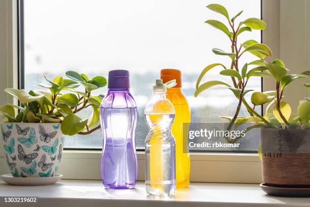 three plastic polypropylene colored reusable bottles with clean drinking water stand on a window sill next to green plants in pots - plastic animals stock pictures, royalty-free photos & images