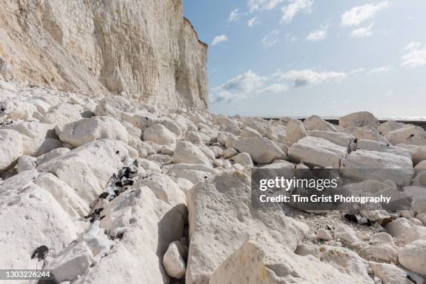 rock fall debris near beachy head, east sussex, uk - flint stock pictures, royalty-free photos & images