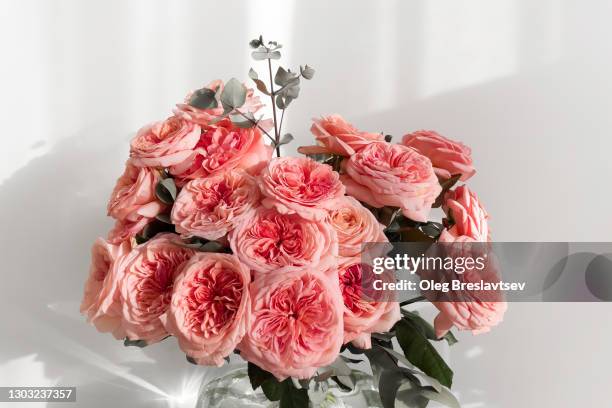 bouquet of beautiful coral colored red roses on table on background of white wall with sun light - coral colored photos et images de collection