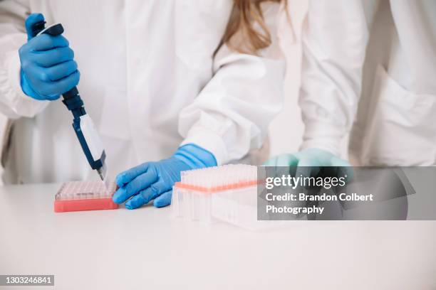 genomics research - food and drug administration stock pictures, royalty-free photos & images