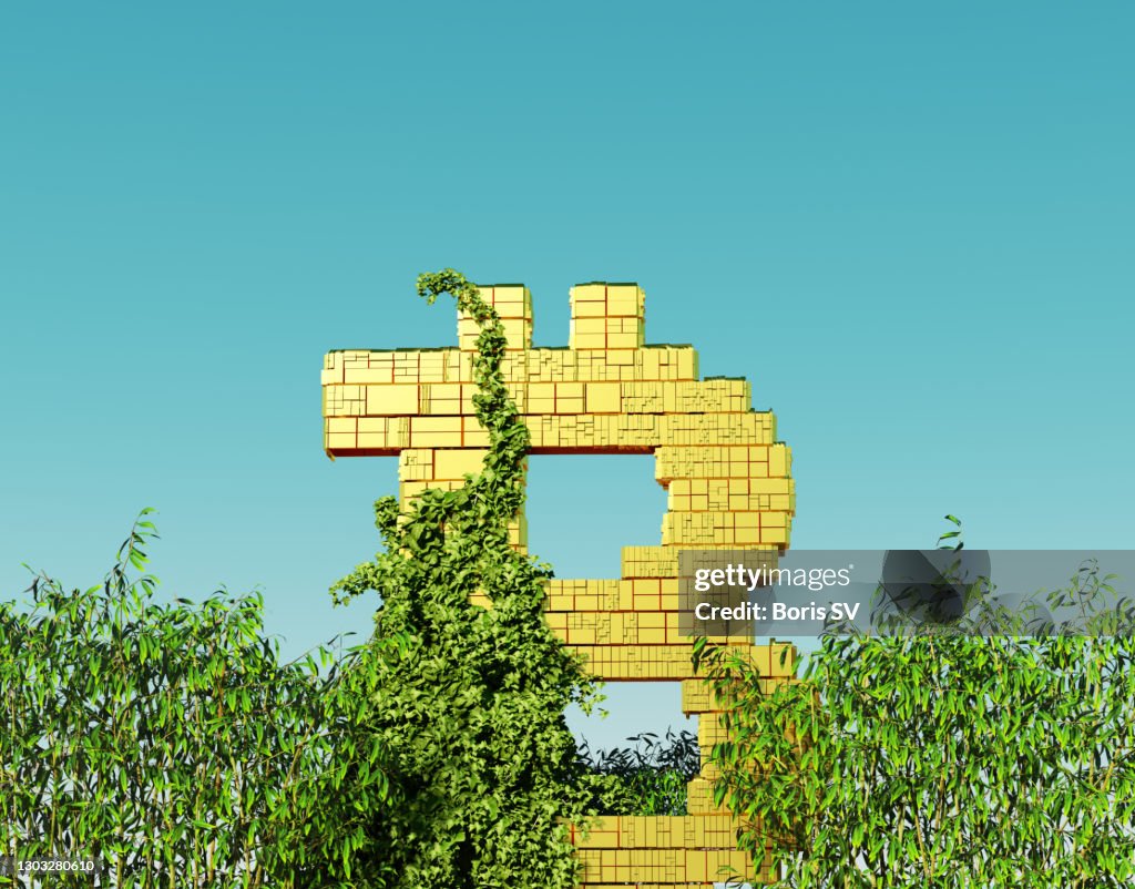 Gold bitcoin found in jungle