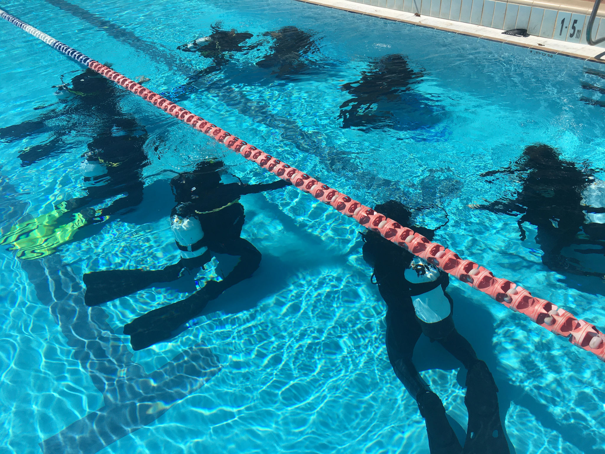 classroom diving session