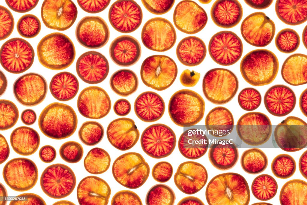 Blood Orange Slices Back Lit Pattern