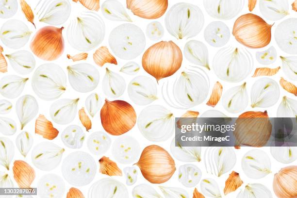 yellow onion skins and slices back lit pattern - yellow onion on white stock pictures, royalty-free photos & images