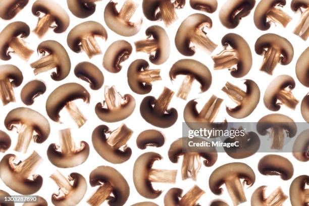 crimini mushroom slices back lit pattern - white mushroom stock pictures, royalty-free photos & images