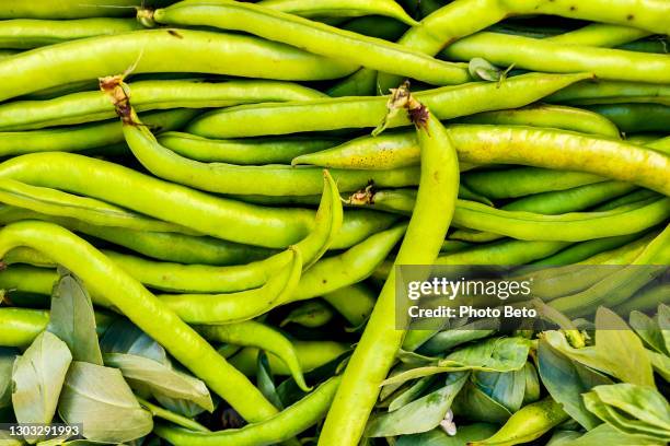 ein haufen frischer fava-bohnen - pferdebohne stock-fotos und bilder