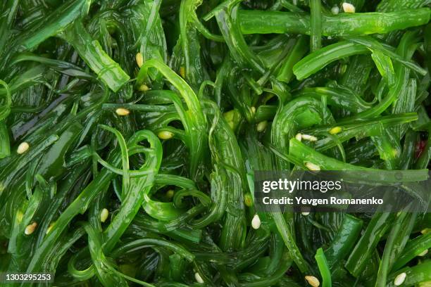 seaweed salad as a background - nori photos et images de collection