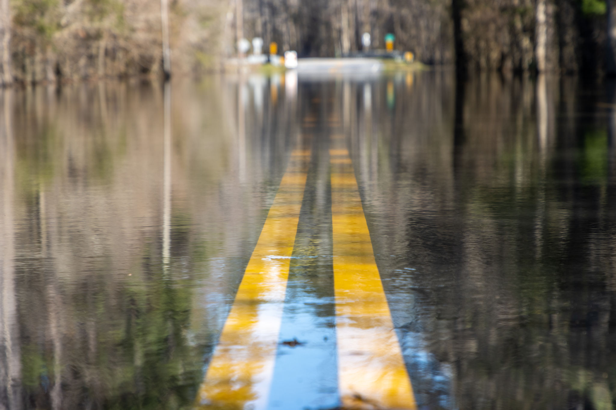 south carolina road