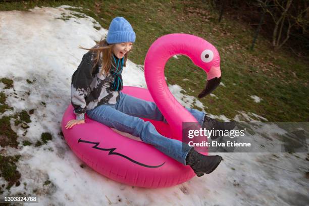 teenager using an inflatable pink flamingo to slide down a slope of receding winter snow in a back yard - funny snow stock-fotos und bilder