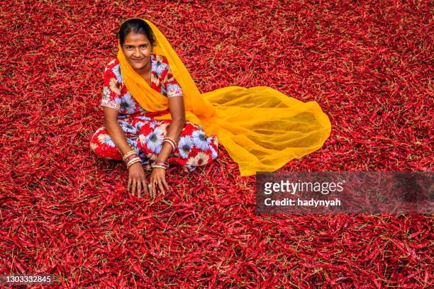 junge indische frau sortiert rote chilischoten, jodhpur, indien - rajasthani women stock-fotos und bilder
