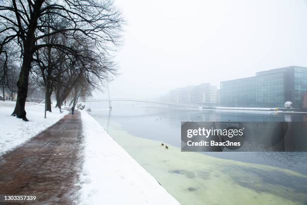 drammen city, norway - down by the river - drammen stockfoto's en -beelden