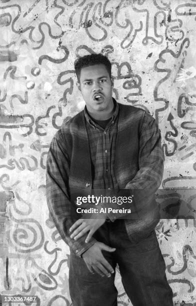 Singer Christopher Williams appears in a portrait taken on November 1, 1993 in New York City.