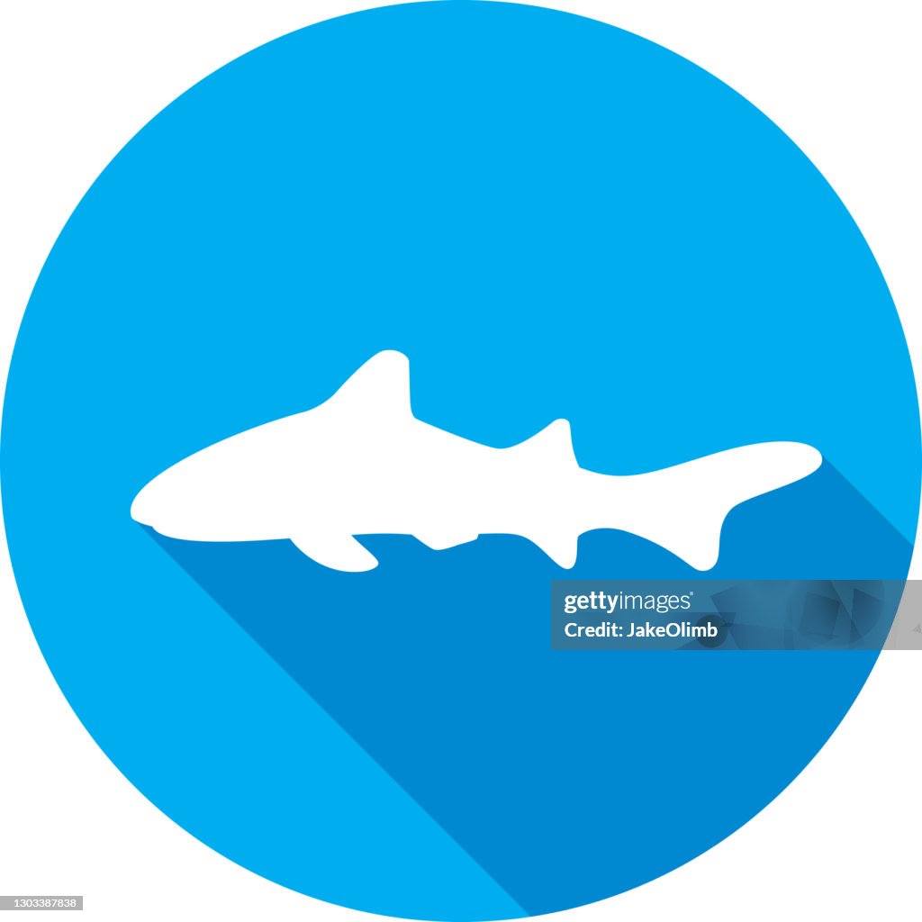 Shark Icon Silhouette 6