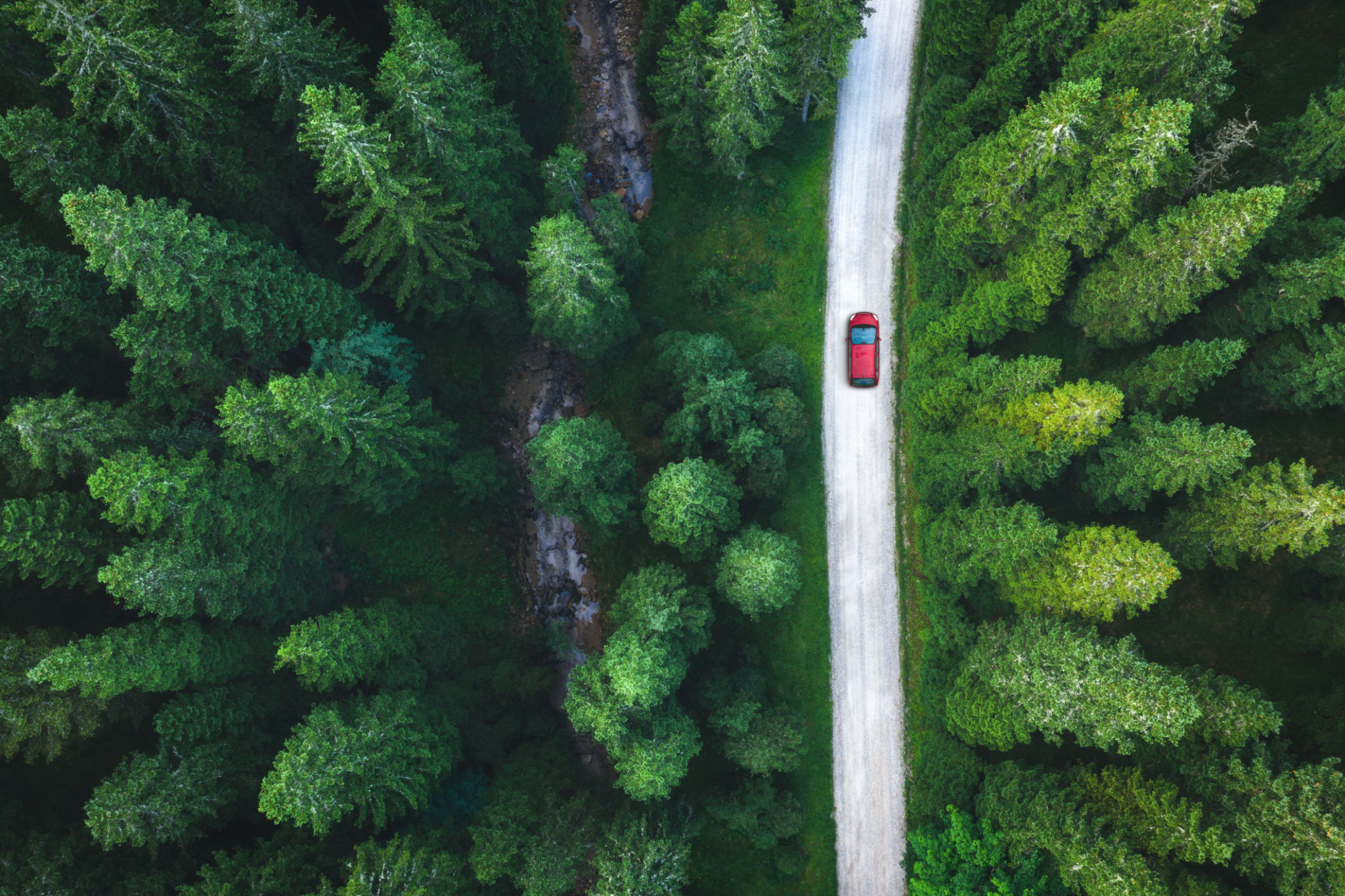 eco friendly driving