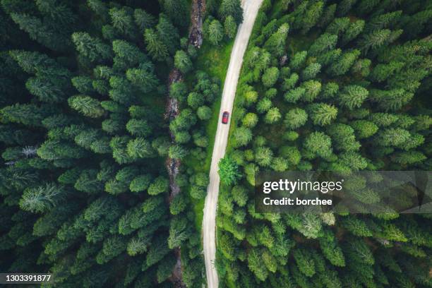 mountain road - green road imagens e fotografias de stock