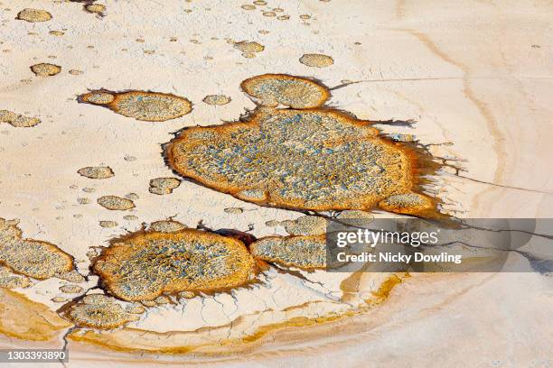 aerial view of kati thanda–lake eyre - lake eyre stock pictures, royalty-free photos & images