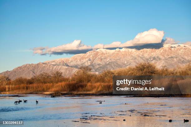 sandia mountains and the rio grande river in albuquerque - sandia mountains stock-fotos und bilder