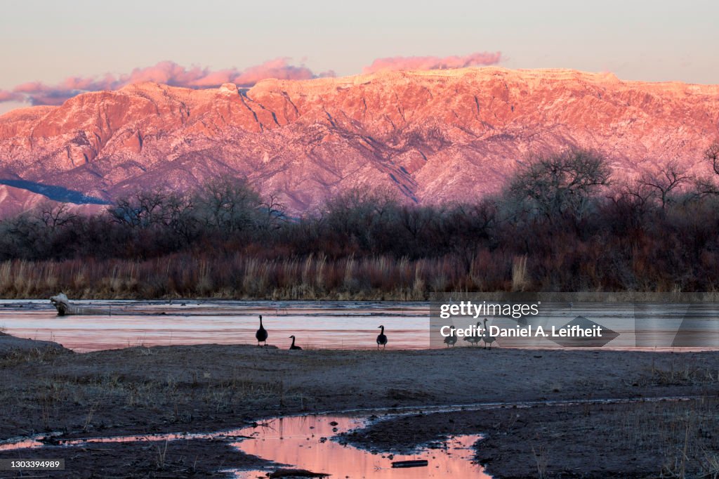 Sunset Along the Rio Grande River in Albuquerque