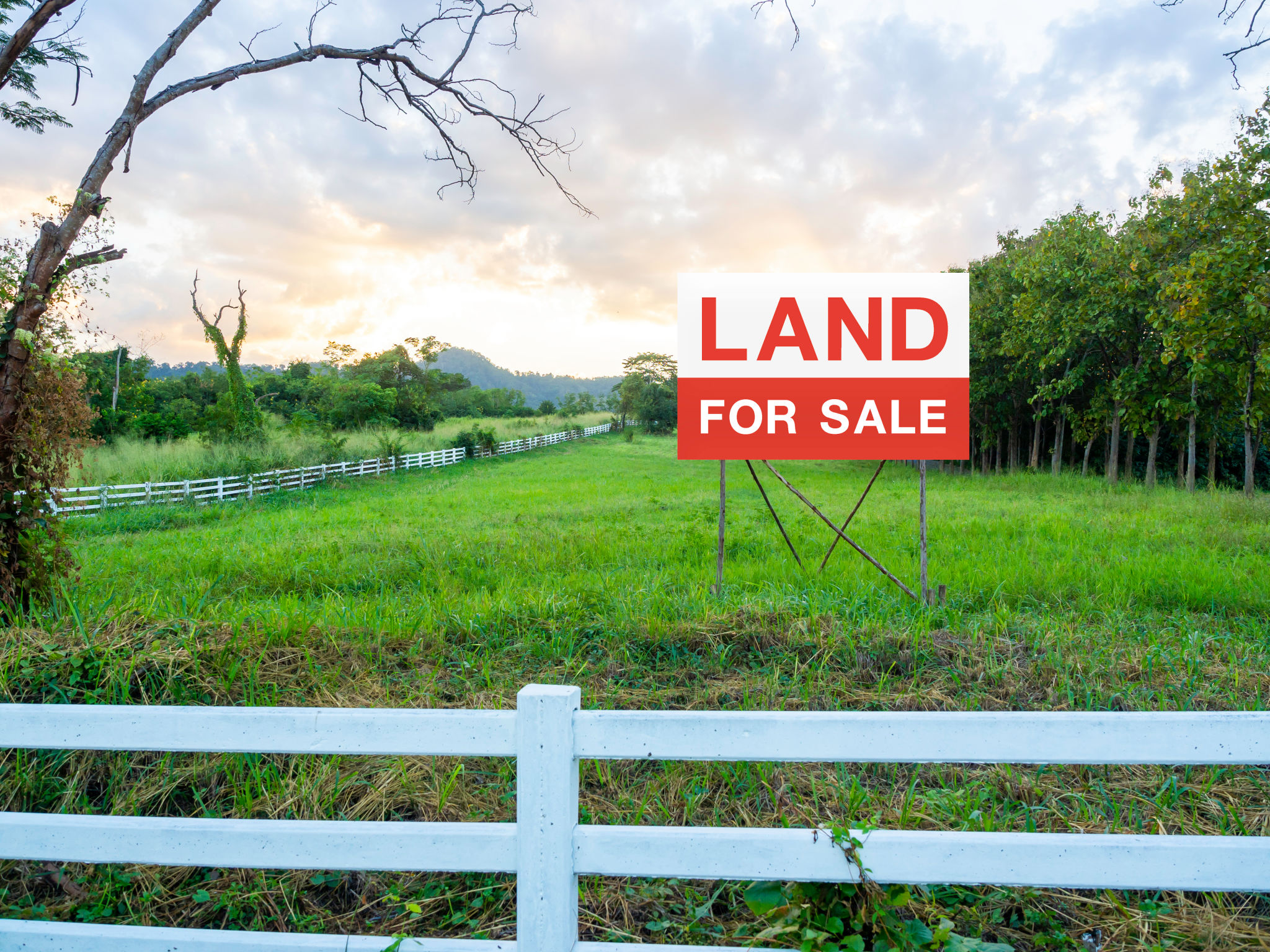 Land for sale sign on empty land. Land for sale sign on empty land.