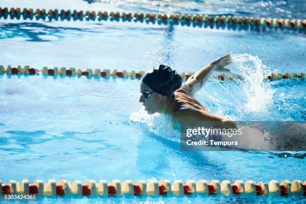 adaptive athlete swimming and doing the butterfly stroke - amputee woman imagens e fotografias de stock