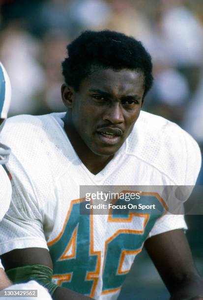 Wide receiver Paul Warfield of the Miami Dolphins looks on from the sidelines during an NFL football game circa 1970 at the Orange Bowl in Miami,...