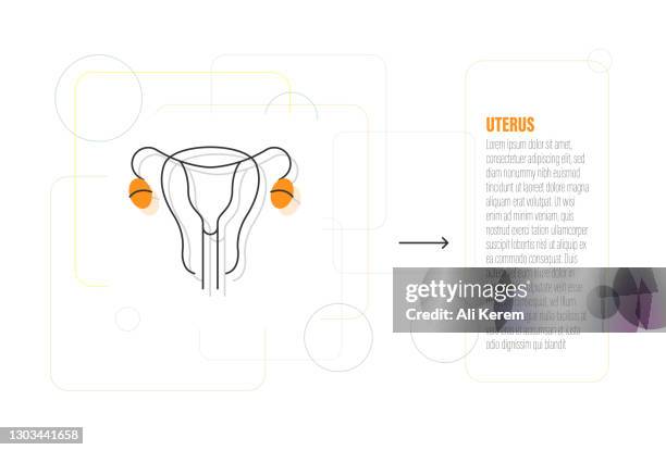 4 961点の卵巣のストックフォト Getty Images 4 961点の卵巣のストックフォト Getty Images