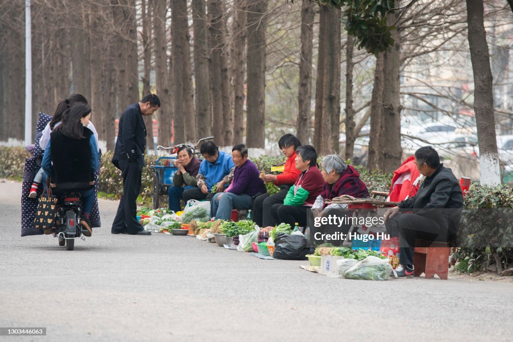 Chinese Government Puts Forward The Overall Promotion Of Rural Development