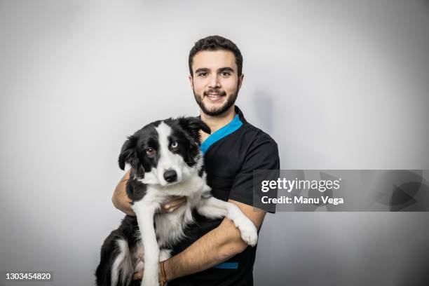 male vet cuddling border collie in arms dog - veterinario imagens e fotografias de stock
