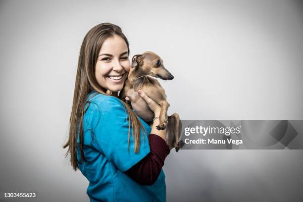 blonde girl cuddling italian greyhound - lady greyhound stock pictures, royalty-free photos & images