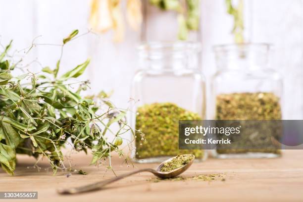 kräutertee und getrocknete kräuter oder medizin in gläsern mit löffel - herbal medicine stock-fotos und bilder