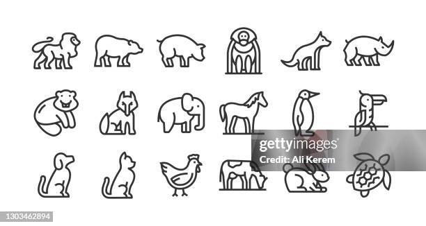 stockillustraties, clipart, cartoons en iconen met dierenlijnpictogram set - leeuwin