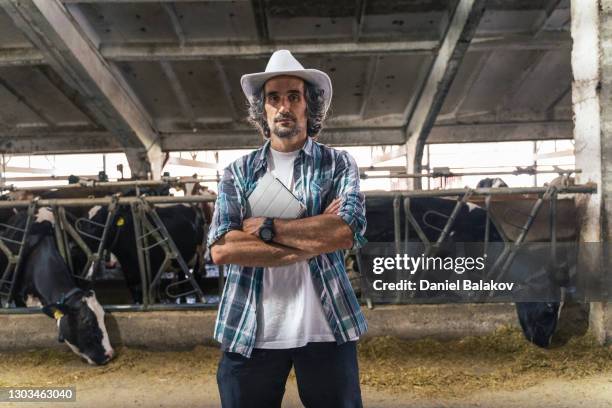 modern diary farm. livestock ranch. dairy cows. portrait of a farmer checking on the cattle in the barn. - farmers insurance stock pictures, royalty-free photos & images