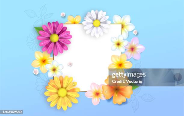 frühlingsblumen illustration - flower head stock-grafiken, -clipart, -cartoons und -symbole