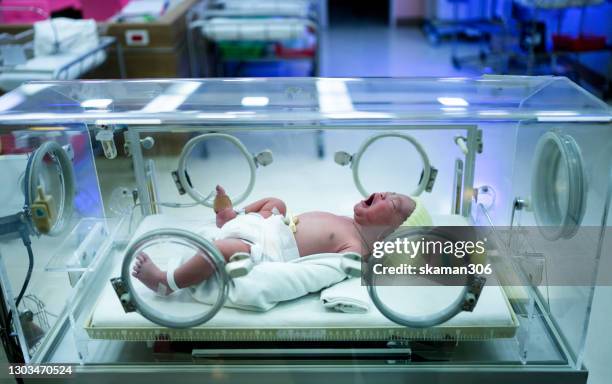 close up face asian newborn baby crying in an incubator  first day in the world - moms crying in bed stock pictures, royalty-free photos & images