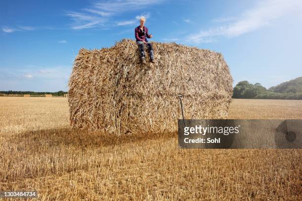 big work - field stubble stock pictures, royalty-free photos & images