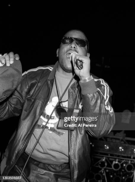 811 Tone Loc Photos & High Res Pictures - Getty Images