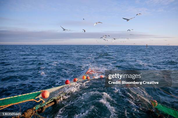 a fishing trawler at sea - trawler net stock-fotos und bilder