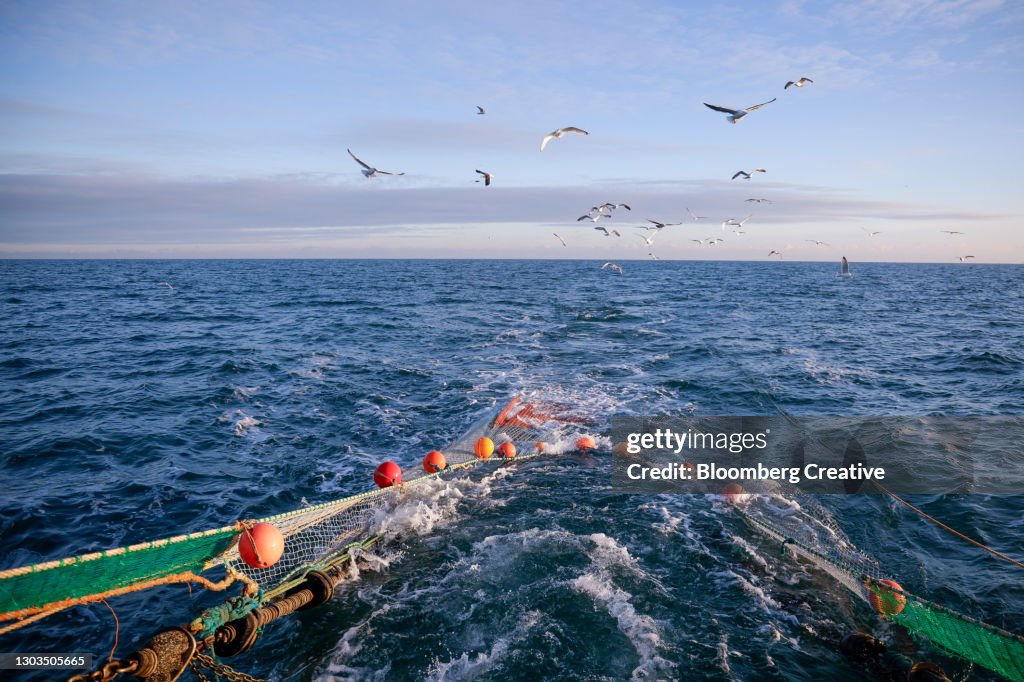 A Fishing Trawler At Sea