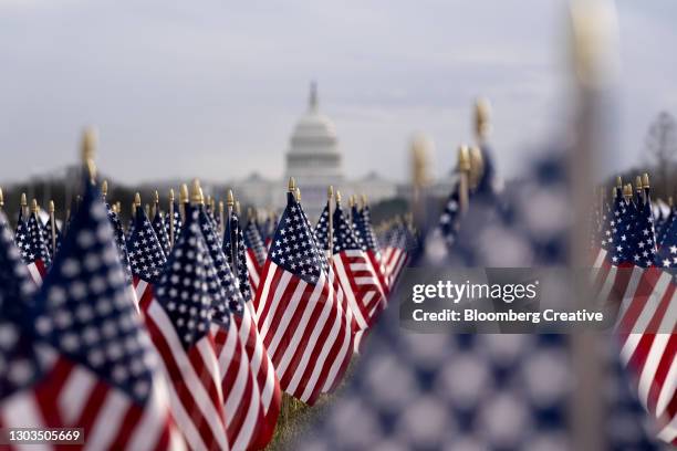 american flags and the u.s. capitol - huis van afgevaardigden stockfoto's en -beelden