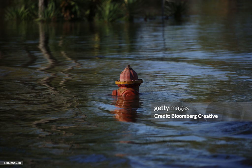 Floodwater Covers A Fire Hydrant