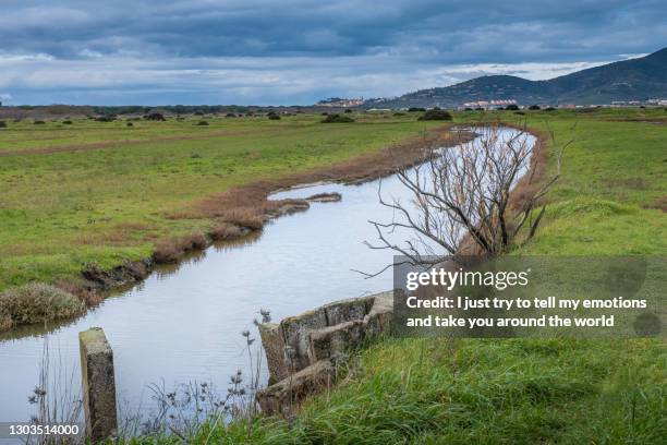 diaccia botrona marsh, castiglione della pescaia, grosseto - tuscany, italy - reclaimed land stock pictures, royalty-free photos & images