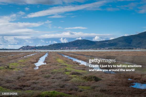 diaccia botrona marsh, castiglione della pescaia, grosseto - tuscany, italy - terra bonificata foto e immagini stock